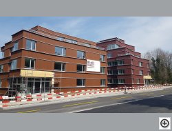 Neubau 3 MFH Witikonerstrasse Zrich 3